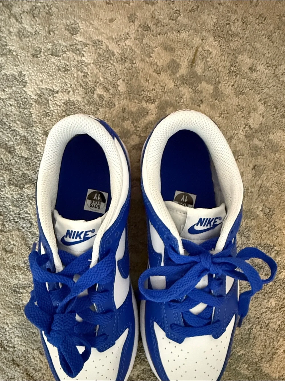 Nike Kids Blue & White Low-Top Dunk Sneakers